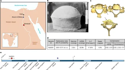 Cel mai vechi ADN egiptean dezvăluie secretele unui olar de elită din epoca piramidelor