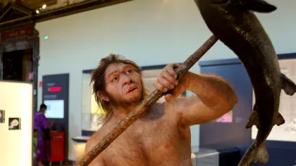 Putea Homo erectus să vorbească?