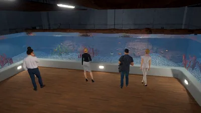 Simulatorul Aquarist va ajunge în curând pe Xbox