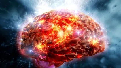 O proteină cerebrală considerată inactivă are, de fapt, un rol crucial