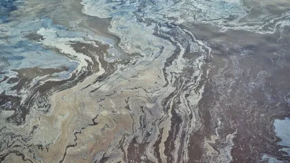 Cel puțin șapte rezervații naturale din Mexic, afectate de o deversare masivă de petrol