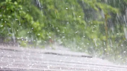 Cum ar putea fi apa de ploaie o armă secretă în lupta cu temperaturile extreme?