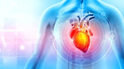 Un studiu gigant dezvăluie că secretul sănătății inimii nu stă în dietele fără grăsimi sau carbohidrați