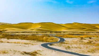 Cum s-a transformat un deșert din nord-vestul Chinei într-un uriaș rezervor natural de carbon?