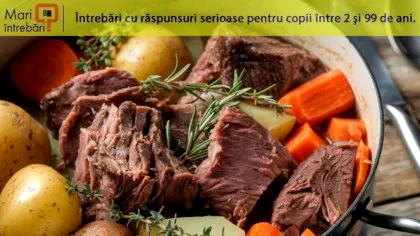 Când au început oamenii să mănânce carne pentru prima oară?