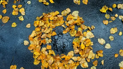 Sudul României nu scapă de ploi, anunță meteorologii. Prognoza pentru 10 noiembrie – 8 decembrie