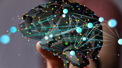 Test de cultură generală. Care este diferența dintre neural și neuronal?