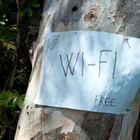 Folosești tehnologia zi de zi, dar știi ce înseamnă Wi-Fi? Nu ceea ce crezi
