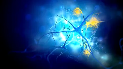 Un medicament bazat pe cupru elimină acumularea de proteine ​​​​care cauzează boala Alzheimer la șoareci