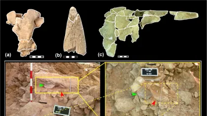 De ce neanderthalienii colecționau cranii cu coarne?