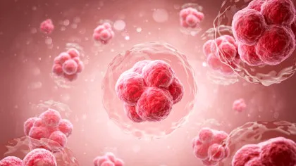 Oamenii de știință au reușit să întinerească celulele stem care produc sânge