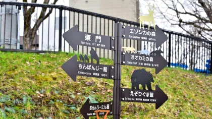 Un japonez și-ar fi ucis soția iar apoi ar fi incinerat-o la grădina zoologică unde lucrează