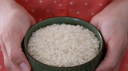 Sectorul orezului din Europa, aproape de colaps. Avertismentul producătorilor!