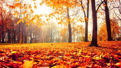 Temperaturi de vară la final de octombrie. Prognoza anunțată de ANM
