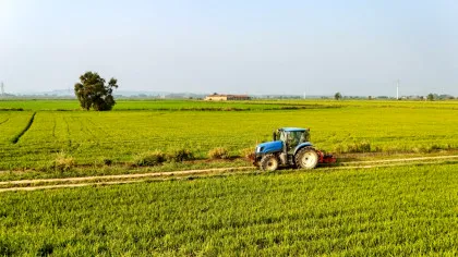 Parlamentul European a aprobat un pachet de măsuri în sprijinul fermierilor