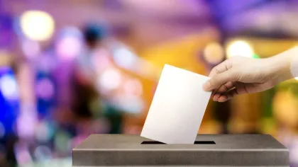 Șiretlicul prin care un adolescent a încercat să candideze la un post de parlamentar. Cum a fost dat în vileag?
