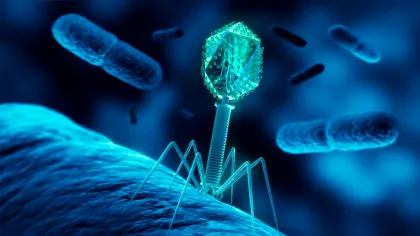 Virusurile își ascultă reciproc conversațiile și uneori primesc informații false