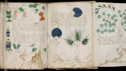 Manuscrisul Voynich: limbă pierdută sau cifru genial?