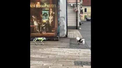 VIDEO Primul oraș din România în care roboții vor patrula pe străzi și vor ajuta la curățenie