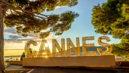 Un palmier s-a prăbușit peste un producător de film la Festivalul de la Cannes