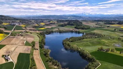 Activitatea umană nu i-a dăunat întotdeauna biodiversității. Iată ce spun oamenii de știință!