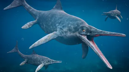 O fosilă unică, veche de 190 de milioane de ani, rescrie istoria unei specii de dinozaur