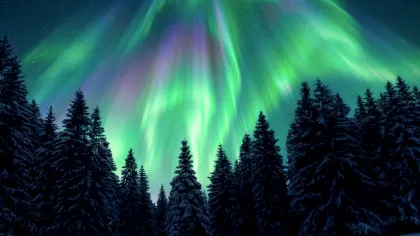 Test de cultură generală. Care este diferența dintre aurora boreală și aurora australă?