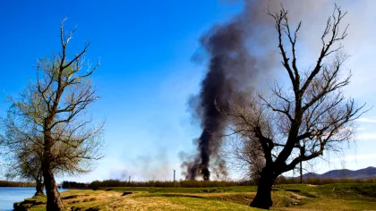 Un nou incendiu a izbucnit în Delta Dunării