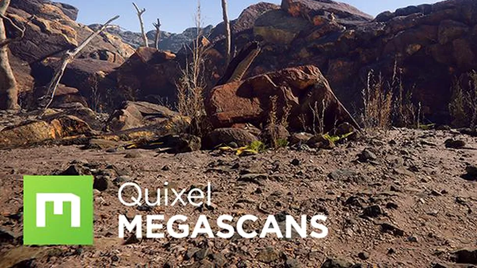 Epic Games achiziţionează Quixel: fotorealism gratuit pentru Unreal Engine