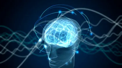 Creierul emite o lumină secretă pe care cercetătorii încearcă să o descifreze