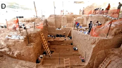 Un nou studiu sugerează că oamenii arhaici erau vânători pretențioși