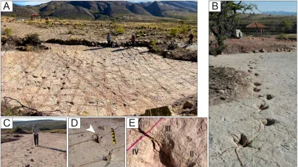 Cel mai mare sit de urme de dinozauri din lume a stabilit mai multe recorduri