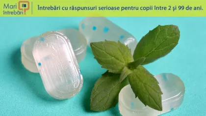De ce menta declanșează senzația de rece?