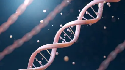 Unele părți ale ADN-ului uman ar evolua mult mai repede decât credeau oamenii de știință