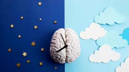 Știința explică: de ce „noaptea este un sfetnic bun”?