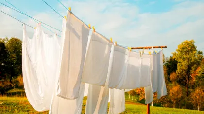 O greșeală banală pe care o facem cu toții primăvara agravează alergia la polen