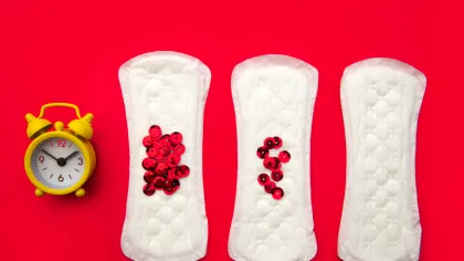 Mitul sincronizării menstruale: de ce încă persistă o idee infirmată de știință