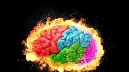 Mitul vârstei de 25 de ani: ce spune cu adevărat știința despre creierul adolescenților