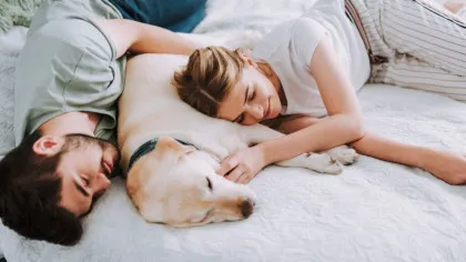 Bacteriile rezistente la medicamente se transmit între animalele de companie și oameni, avertizează cercetătorii