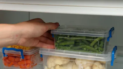 Microplasticele din corpul uman ar putea afecta creierul și intestinul
