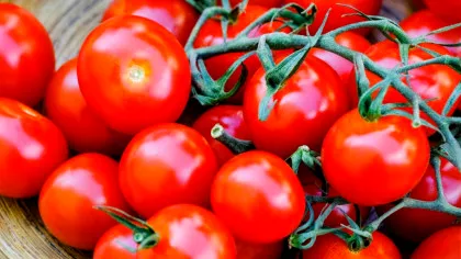 Plasturii cu virusuri au distrus cu succes bacteriile din alimente contaminate