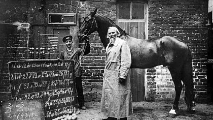 Hans cel Deștept: Povestea calului despre care cercetătorii au crezut că înțelege limba germană și matematica