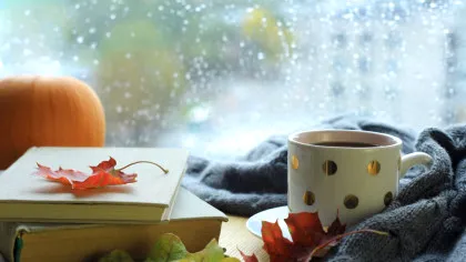 De ce unii oamenii își lasă pilotele afară, în frig, iarna și ce spune știința despre asta?