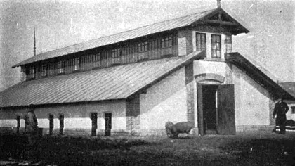 Secretul organizării Domeniilor Coroanei: un model inspirat din Ungaria?