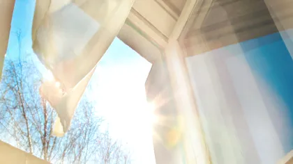 Ce este atlasul mirosurilor urbane? Cum pot fi „citite” orașele pe baza parfumurilor stradale