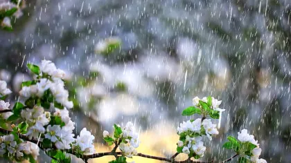 Meteorologii atrag atenția: temperaturile scad brusc și vin ploile!