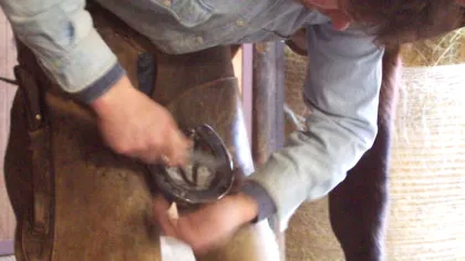 Test de cultură generală. De ce se spune că potcoavele aduc noroc?