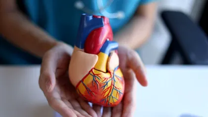 Cum ne protejează bătăile inimii de cancer? Un studiu anunță o descoperire uluitoare!