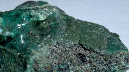 Descoperire tristă pe o insulă din Brazilia: Țestoasele marine își fac cuiburi în „roci de plastic”