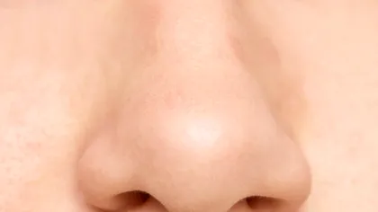 Un profesor de anatomie explică de ce o nară este mai dominantă decât cealaltă